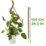 Tuteur En Coco Coir Flexible Pour Plantes Grimpantes - 100cm