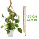 Tuteur En Coco Coir Flexible Pour Plantes Grimpantes - 120cm