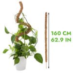 Tuteur En Coco Coir Flexible Pour Plantes Grimpantes - 160cm