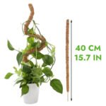 Tuteur En Coco Coir Flexible Pour Plantes Grimpantes - 40cm