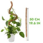 Tuteur En Coco Coir Flexible Pour Plantes Grimpantes - 50cm