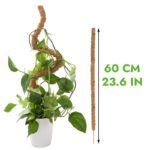 Tuteur En Coco Coir Flexible Pour Plantes Grimpantes - 60cm