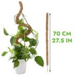 Tuteur En Coco Coir Flexible Pour Plantes Grimpantes - 70cm