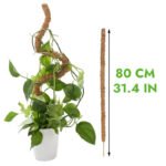 Tuteur En Coco Coir Flexible Pour Plantes Grimpantes - 80cm