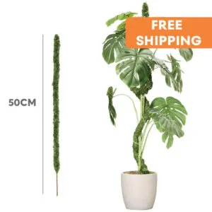 Tuteur En Mousse Flexible Pour Plantes - Formez Vos Créations! 1 Tuteur En Mousse Flexible Pour Plantes - Formez Vos Créations!