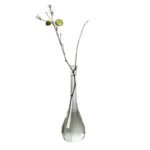 Vase En Verre Transparent Pour Une élégance Naturelle Et Moderne