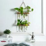 Vase Mural En Verre Pour Décoration Et Plantes Suspendues