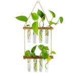 Vase Mural En Verre Pour Décoration Et Plantes Suspendues