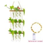 Vase Mural En Verre Pour Décoration Et Plantes Suspendues