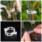 Clips De Support Polyvalents Pour Plantes Pour Une Croissance Saine Et Belle.