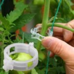 versatile plant support clips for healthy beautiful growth 50pcs 369 1