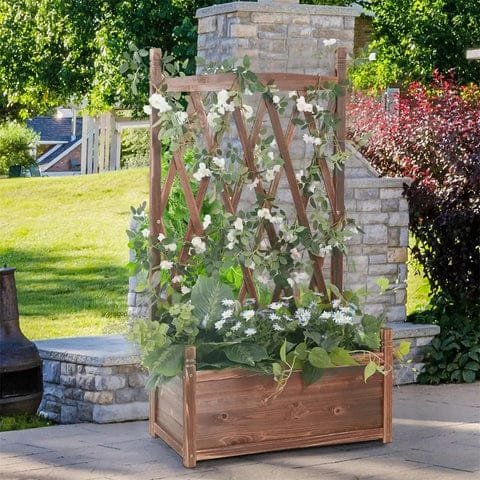 Jardin Surélevé En Pin Pour Légumes Et Herbes Fraîches 2 Un jardin surélevé en bois de pin avec treillis et fleurs blanches