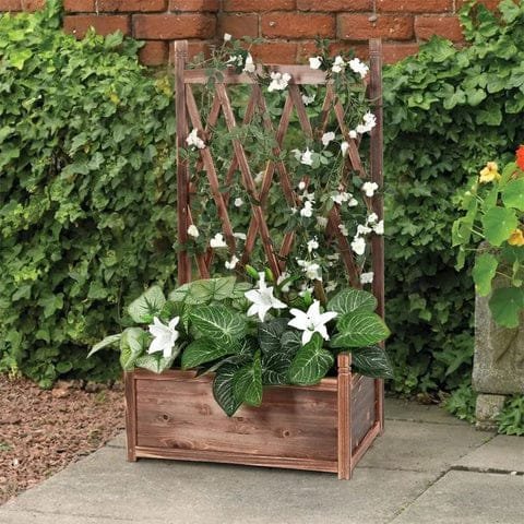Jardin Surélevé En Pin Pour Légumes Et Herbes Fraîches 3 Un jardin surélevé en bois de pin avec treillis dans le jardin