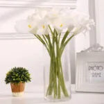 Arum - Plante Décorative élégante Pour Votre Intérieur