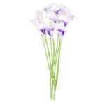 Arum - Plante Décorative élégante Pour Votre Intérieur - Blanc Et Violet