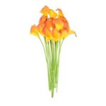 Arum - Plante Décorative élégante Pour Votre Intérieur - Orange