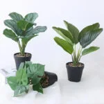 Décoration Tropicale Durable Et élégante