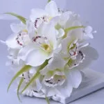 Bouquet De Fleurs Fraîches Pour Toutes Occasions - Blanc