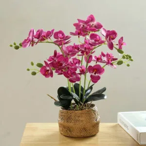 bouquet de fleurs orchidee elegantes et raffinees bourgogne fleur 453