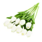 Bouquet De Tulipes Blanches élégantes Et Rafraîchissantes