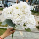 Bouquet D’hortensias élégant Et Raffiné