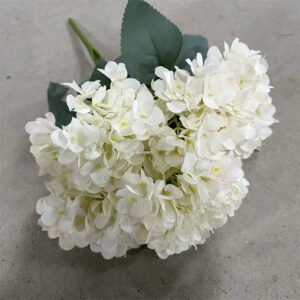 Bouquet D’hortensias élégant Et Raffiné