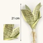 bouture de sansevieria avec fleurs elegantes 6 feuilles variante 1 126 2