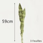 bouture sansevieria plante dinterieur resistante et chic 3 975 2