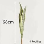 bouture sansevieria plante dinterieur resistante et chic 4 218 2