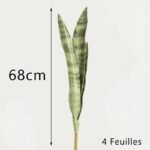bouture sansevieria plante dinterieur resistante et chic 4 618 3