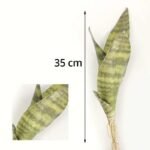 boutures de sansevieria trifasciata a petits prix 4 feuilles 35cm 383 1