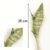 4 feuilles - 35cm - Variante 2