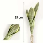 boutures de sansevieria trifasciata a petits prix 4 feuilles 35cm 387 1