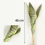 boutures de sansevieria trifasciata a petits prix 4 feuilles 40cm 612 2