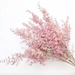 branche artificielle deucalyptus naturelle et elegante deucalyptus 566 1