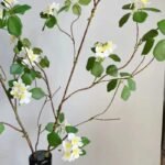 Branche Artificielle En Lignum Vitae – Décoration Naturelle