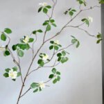 Branche Artificielle En Lignum Vitae - Décoration Naturelle - Blanc