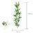 Feuilles de Bambou