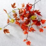 Branche D’automne Décorative