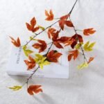 Branche D’automne Décorative