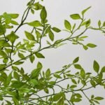 branche de feuillage artificiel avec feuilles artificielles 579 2