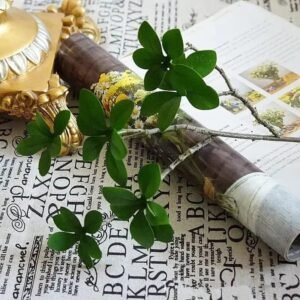 branche de feuillage artificiel pittosporum 840 1