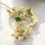 branche de fleurs cerisier elegance printaniere beige 1 238 1