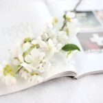 branche de fleurs cerisier elegance printaniere blanc 1 512 1