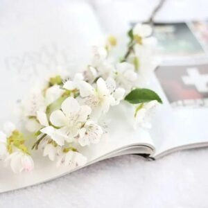 branche de fleurs cerisier elegance printaniere blanc 1 512 2