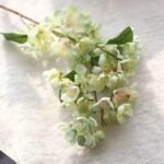 branche de fleurs cerisier elegance printaniere vert 1 292 1