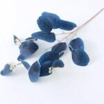 branche deucalyptus fraiche bleu fonce 1 deucalyptus 521 1