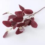 branche deucalyptus fraiche bordeaux 1 deucalyptus 164 1