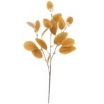 branche deucalyptus fraiche deucalyptus 495 1