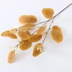 branche deucalyptus fraiche marron clair 1 deucalyptus 576 2